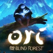 Ori and The Blind Forest2