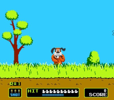 Duck Hunt (2)
