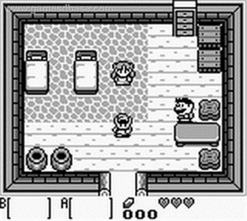 Links Awakening(2)