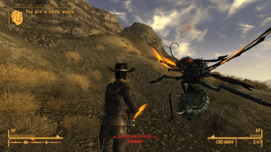 Fallout New Vegas(3)