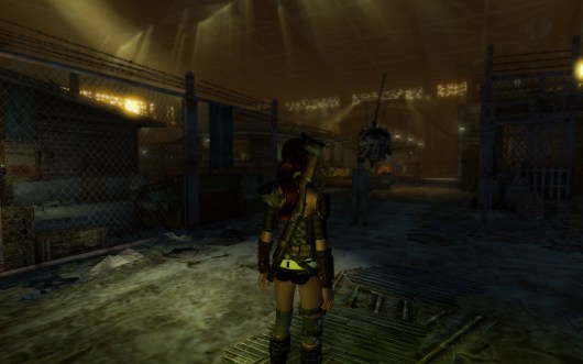 Fallout New Vegas(5)